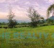 Expansive land surrounding the villa, offering endless possibilities for customization