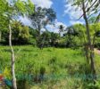 Flat lot with access road in La Mulata 2, Sosúa