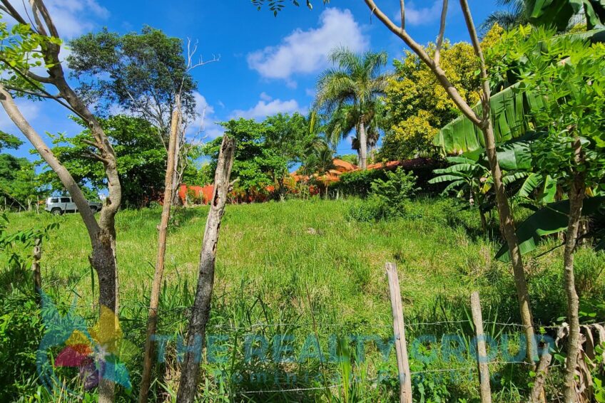 Banana trees on a 1000 m2 nice flat lot in Sosúa