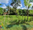 Nice flat lot 1000 m2, Sosúa, Dominican Republic