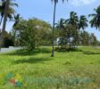 Spacious 4000 m² (43,056 sq/ft) developed lot for sale, fully fenced with high-quality walls and a secure gate, located in La Boca, Dominican Republic. Listed by The Realty Group