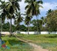 Spacious 4000 m² (43,056 sq/ft) developed lot for sale, fully fenced with high-quality walls and a secure gate, located in La Boca, Dominican Republic. Listed by The Realty Group