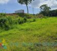 Lot for sale by The Realty Group Dominican Republic with clear paperwork and all utilities installed