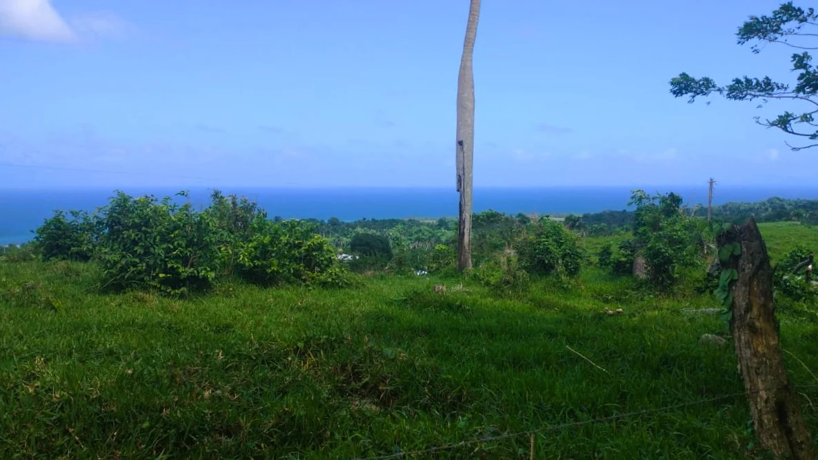 Ocean-view lot near Playa Grande Golf