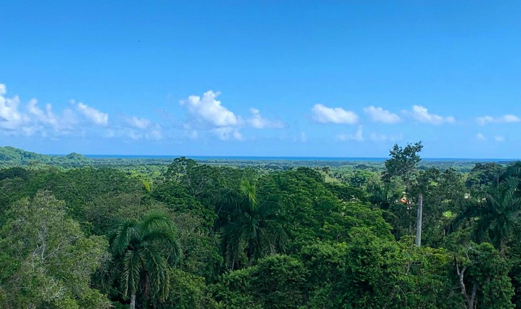 Mountain Lot Ocean Views – 26,214 m² in La Catalina, Sabaneta