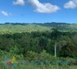 Panoramic ocean and mountain views Dominican Republic lot