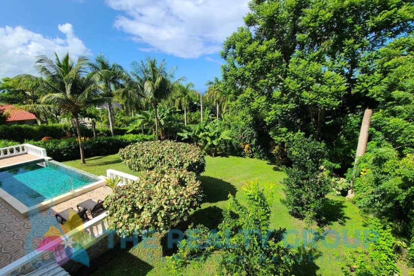 Lush tropical garden with fruit trees surrounding a beautiful villa with apartment and studio in Sosúa